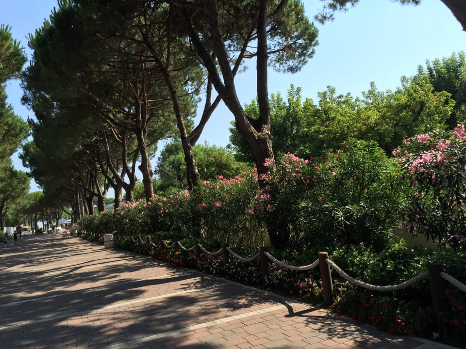 Sonstiges Camping Village Garden Paradiso