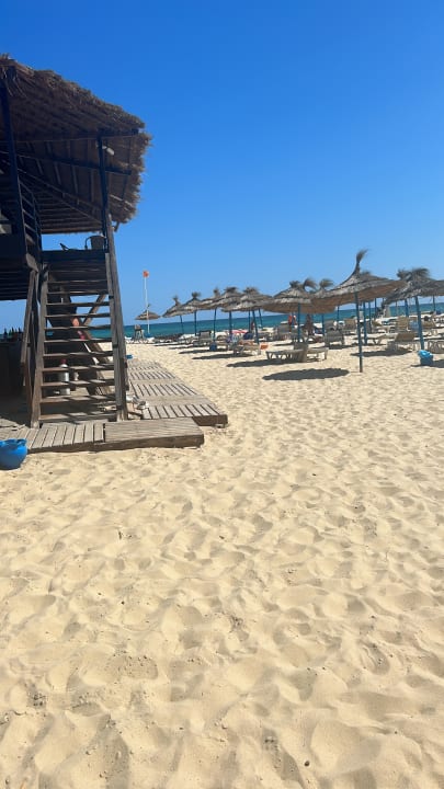 Strand AQI Venus Beach