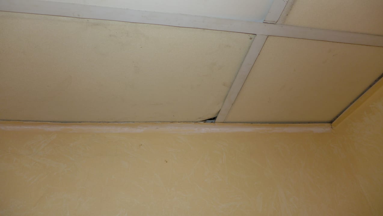 Zimmer Ghazala Gardens