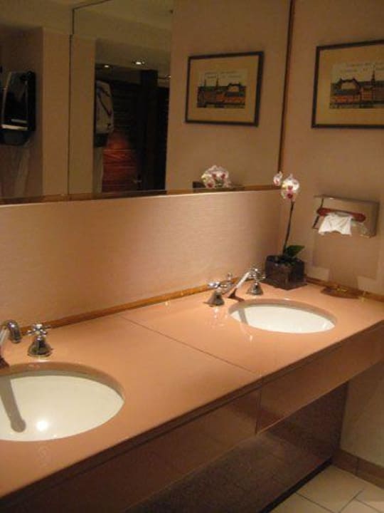 Damentoilette Hotel Sofitel Strasbourg Grande Ile