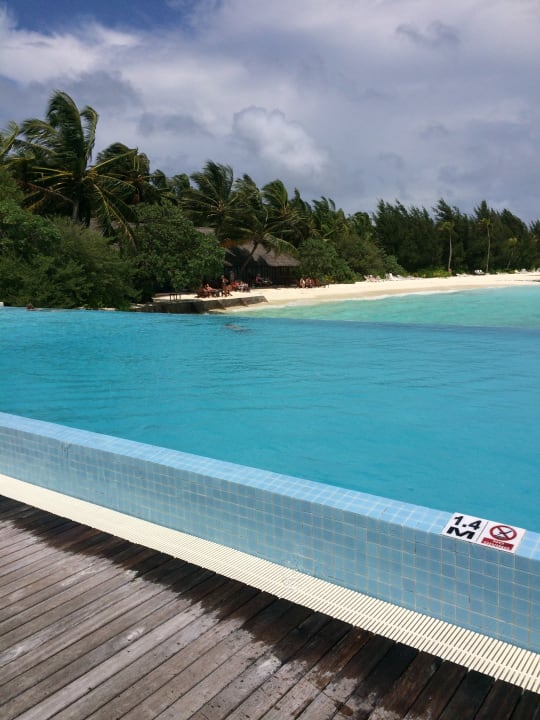 Pool Summer Island Maldives