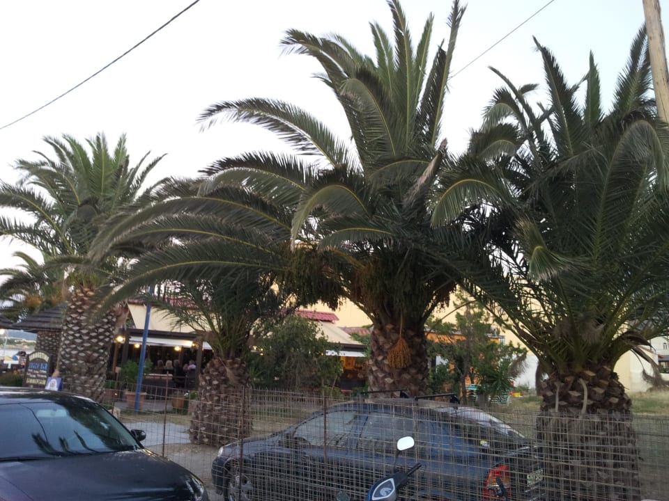 Ausblick beim Abendessen Hotel Corissia Princess