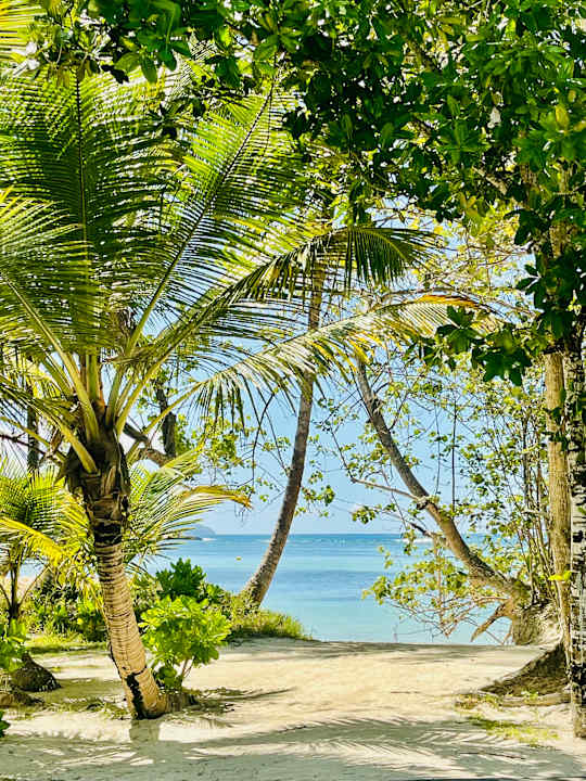 Sonstiges Constance Ephelia