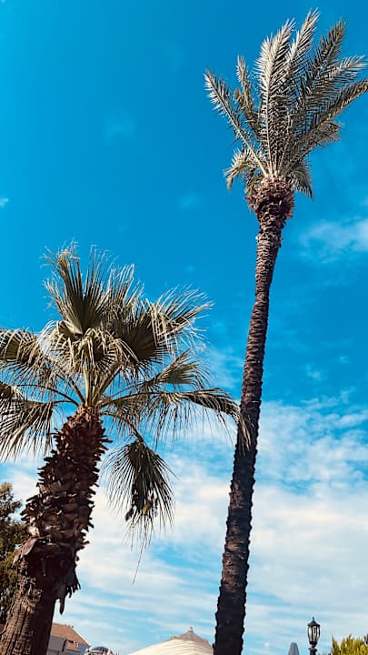 Außenansicht Sunis Elita Beach Resort & Spa