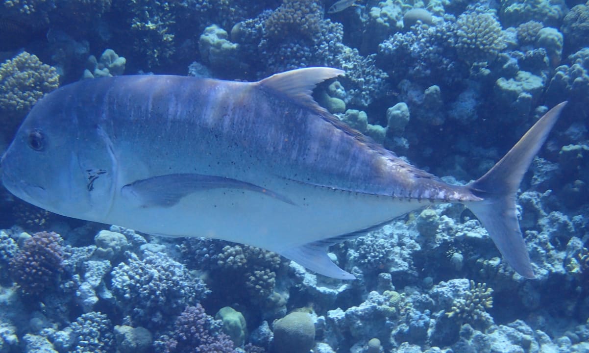 Sport & Freizeit Grand Makadi