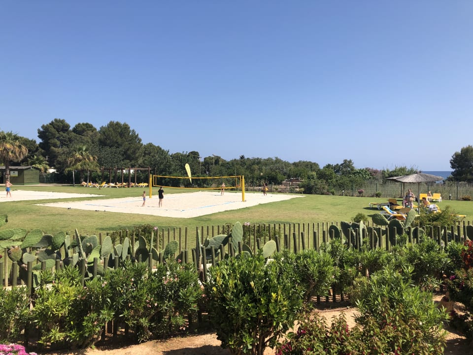 Ausblick TUI MAGIC LIFE Cala Pada