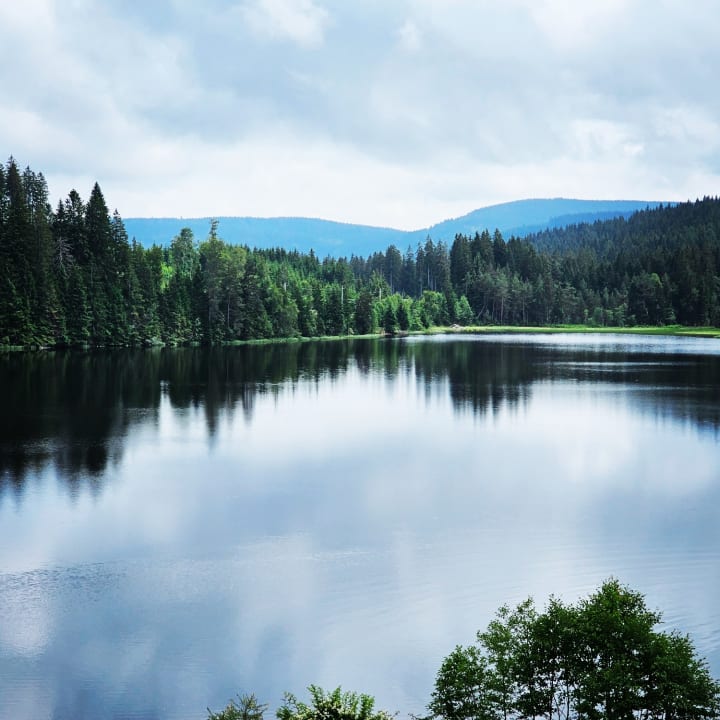 Ausblick Köhlerei am See