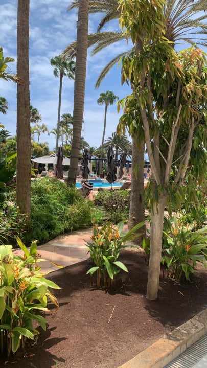 Garten Corallium Dunamar by Lopesan Hotels