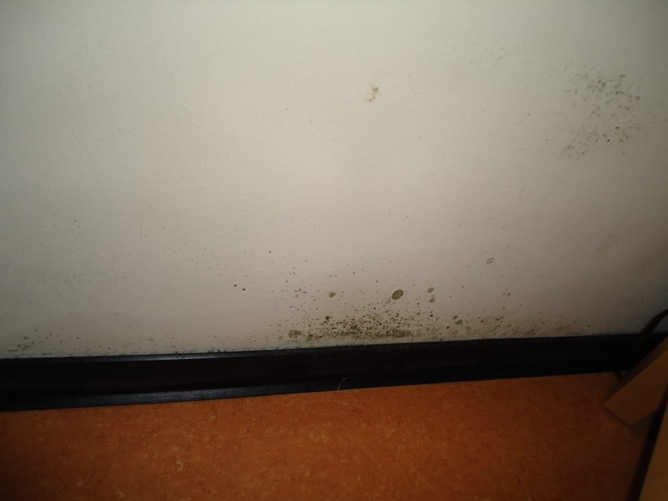 Noch mehr Schimmel Hotel Carpe Diem