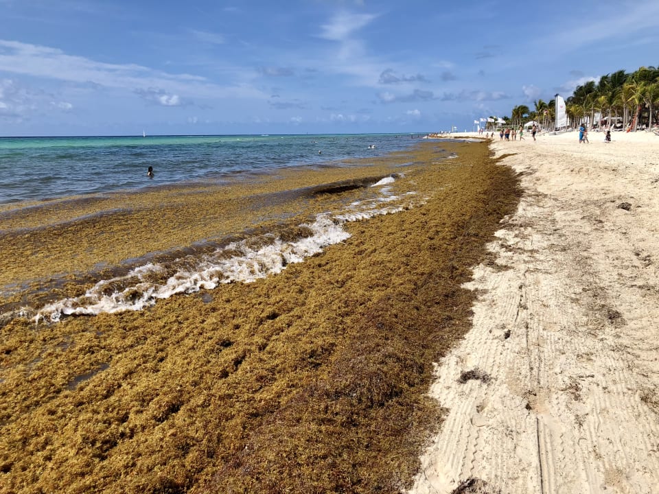 Strand Hotel Riu Palace Riviera Maya