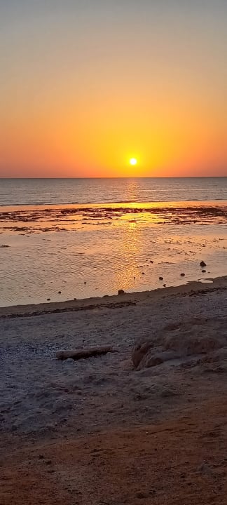 Zimmer Three Corners Sea Beach Resort