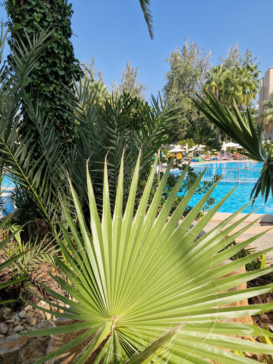 Pool R2 Lago Playa Park