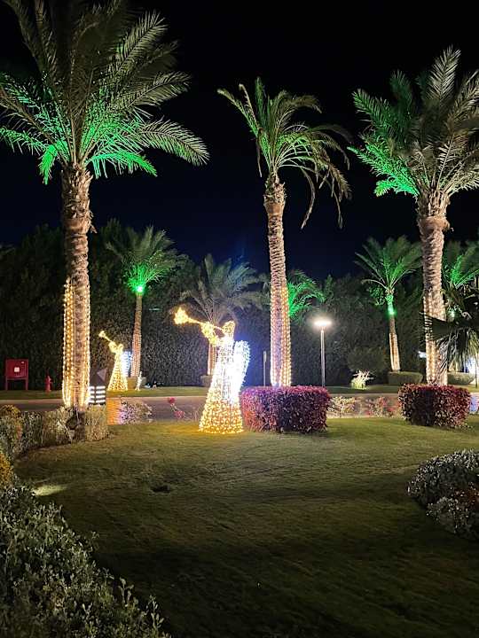 Ausblick Rixos Premium Magawish Suites & Villas