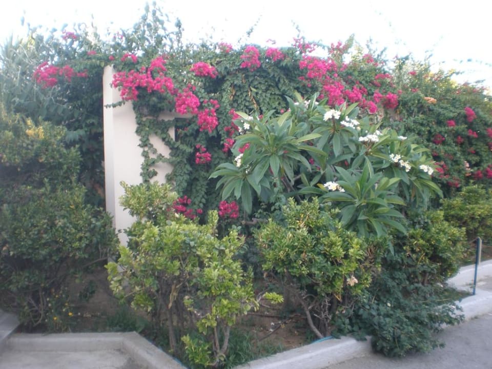 Przed hotelem Santa Marina Beach