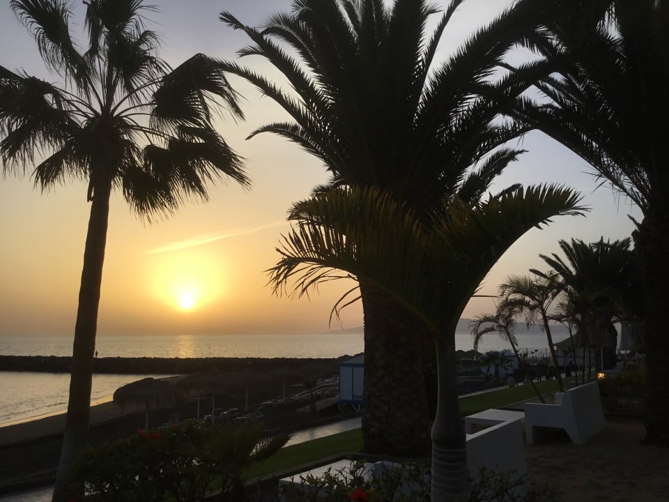 Gartenanlage Hotel Riu Palace Tenerife