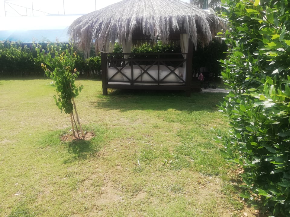 Gartenanlage Alaiye Resort & Spa