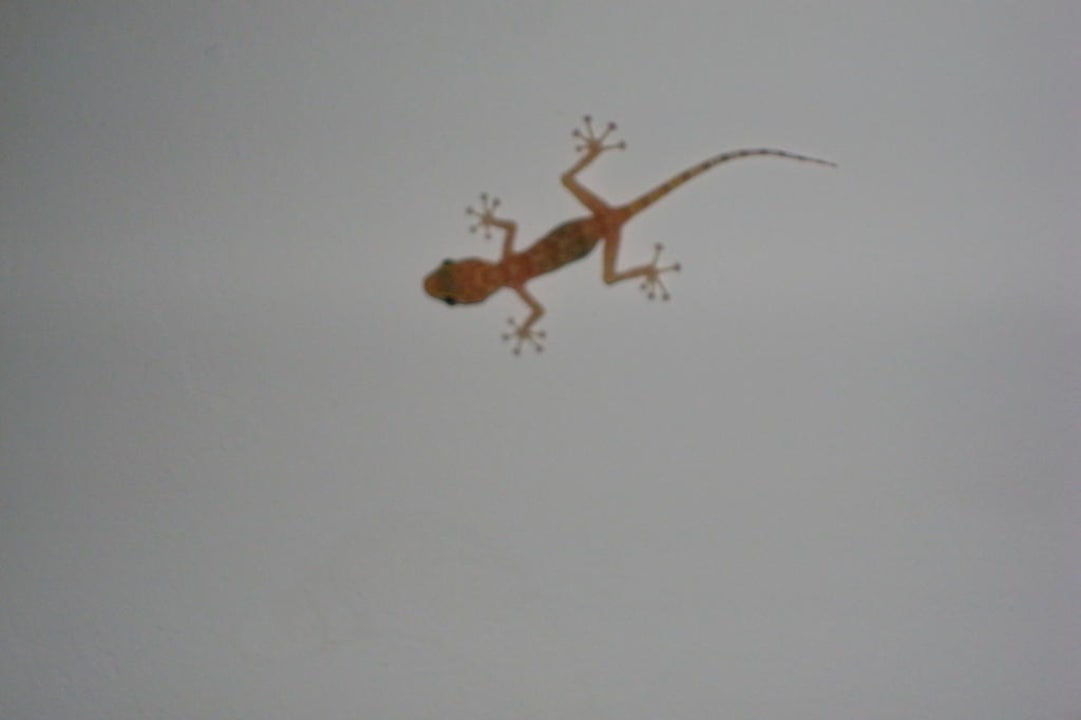 Hotel InterContinental Abu Soma Palm Royale Resort - Soma Bay