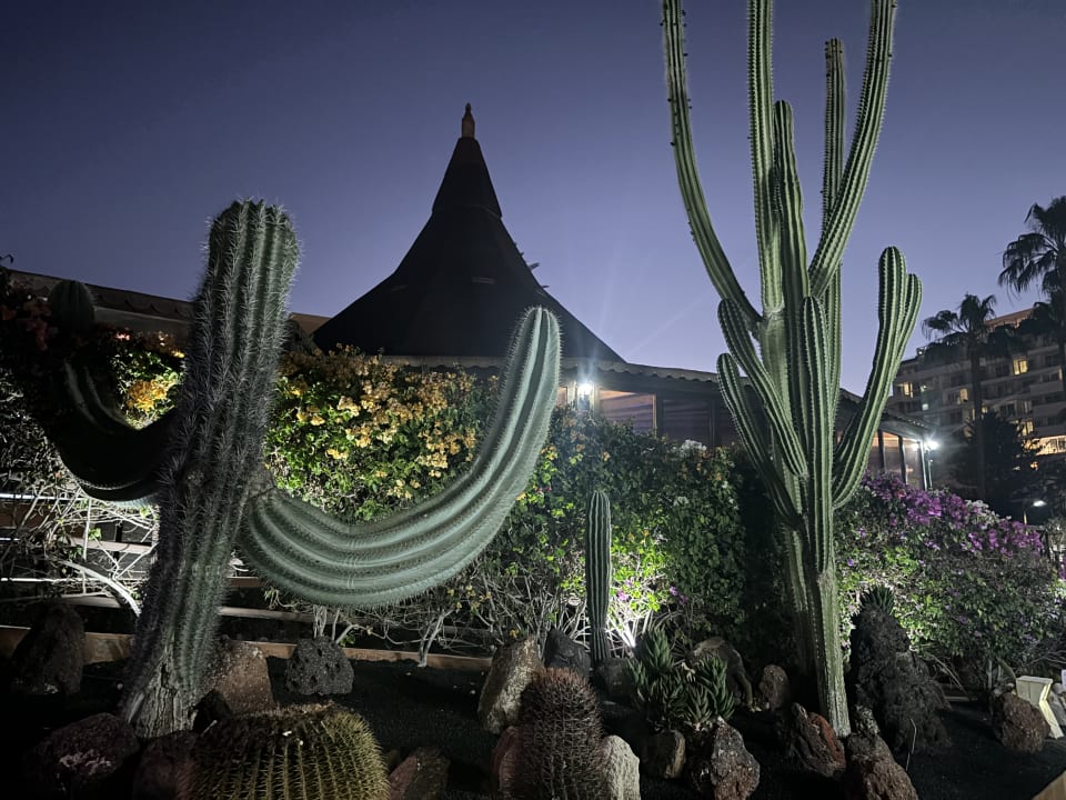 Gartenanlage IFA Altamarena by Lopesan Hotels