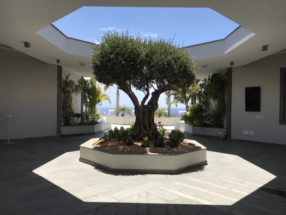 Gastro Royal Palm Resort & Spa - Adults only
