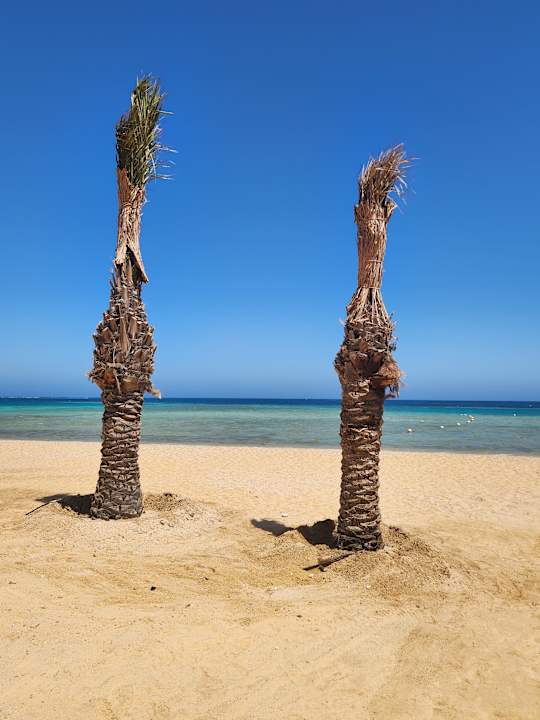 Ausblick SUNRISE Anjum Resort Marsa Alam