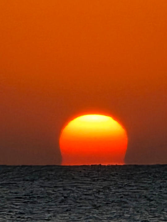 Sonstiges Shams Prestige Abu Soma-Adults Only