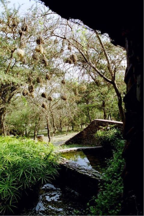 Serengeti Serena Lodge Serengeti Serena Safari Lodge