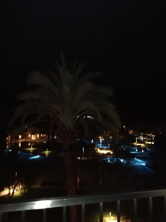 Ausblick Arum Barut Collection