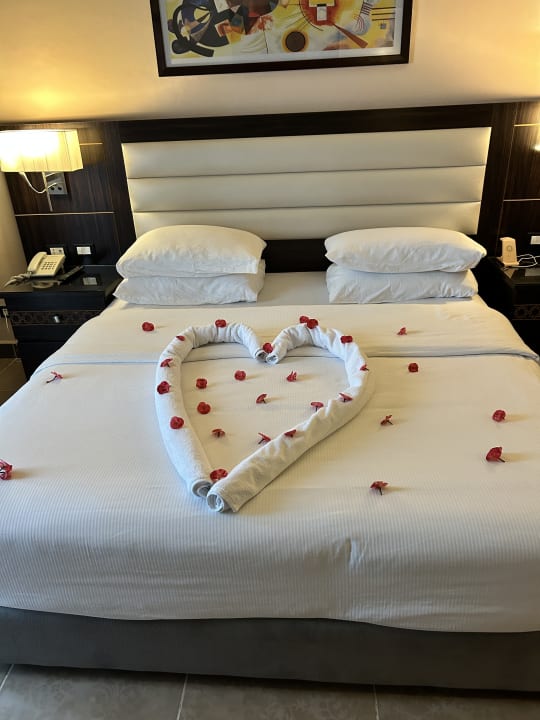 Zimmer Pickalbatros Palace Resort