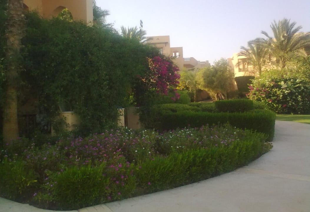 Zeleň v Corayi Steigenberger Coraya Beach - Adults only