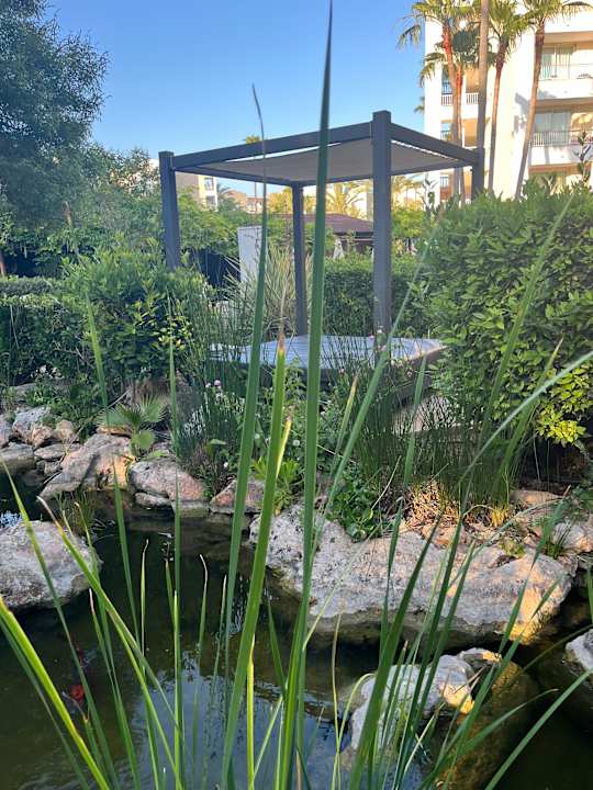 Gartenanlage Protur Vista Badia Aparthotel