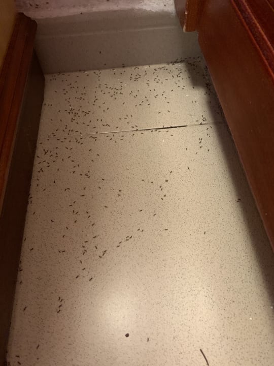 Zimmer Flipflop Cala Romantica