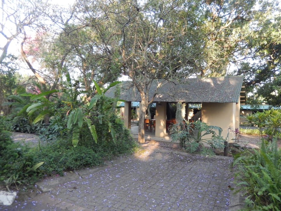 Gartenanlage Hotel Numbi The Main House