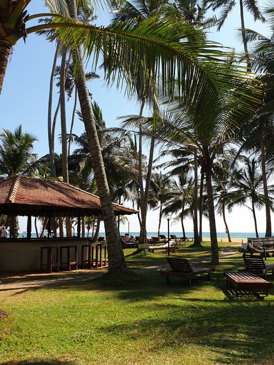 Gartenanlage Mermaid Hotel & Club