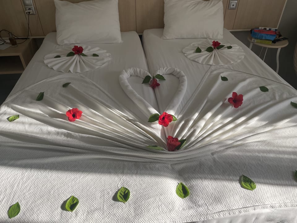 Zimmer TUI BLUE Palm Garden