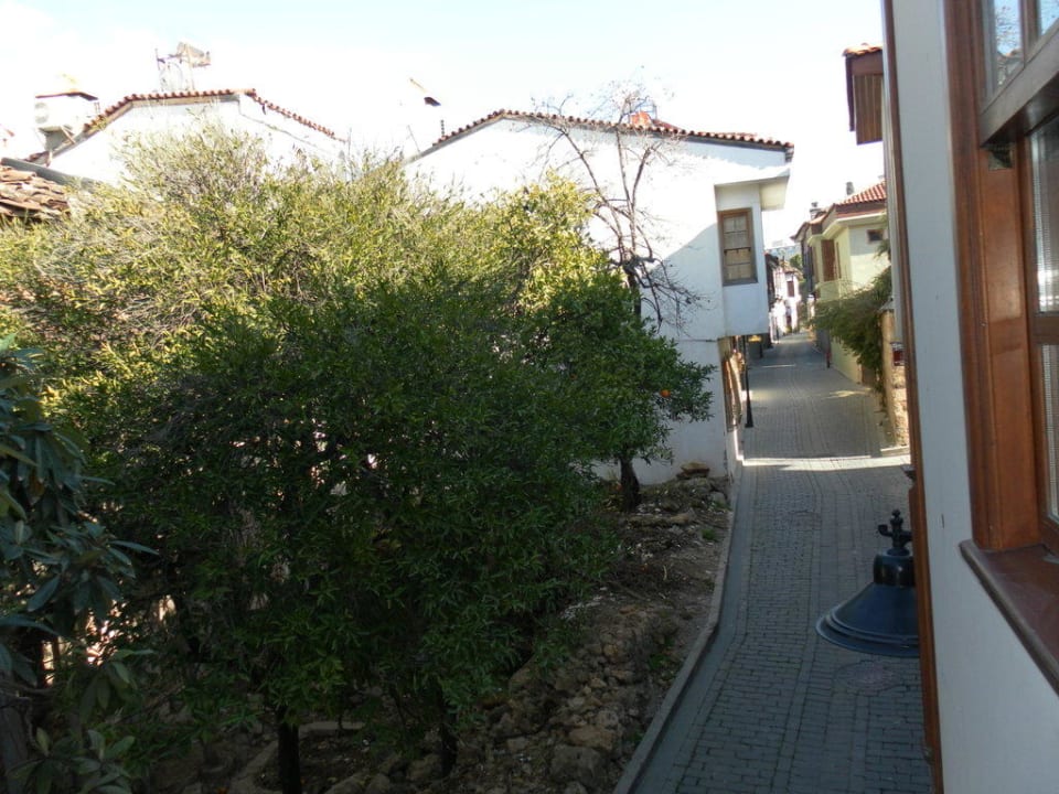 Ausblick vom Standard Zimmer Mediterra Art Hotel
