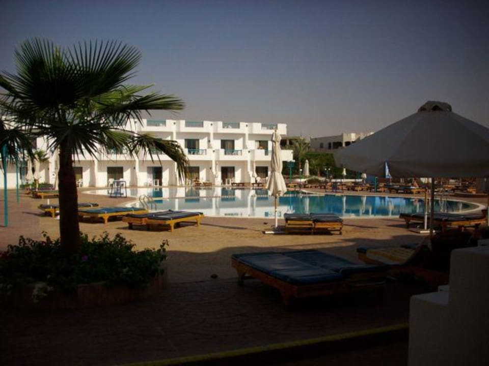 Basen Hotel Sharm Cliff Resort