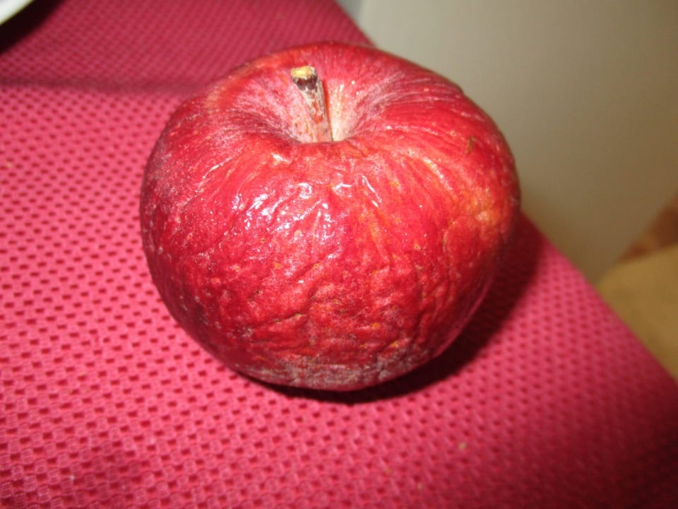 Der Apfel meiner Tochter Hotel Meri