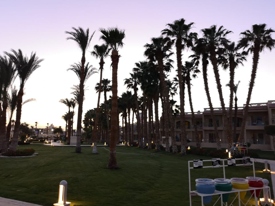 Ausblick Beach Albatros Resort
