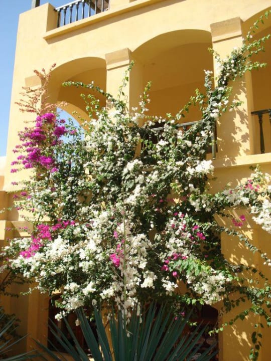 Garten Three Corners Rihana Resort Deluxe