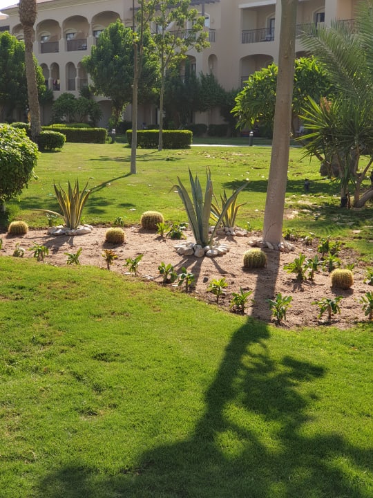 Gartenanlage JAZ Aquamarine Resort