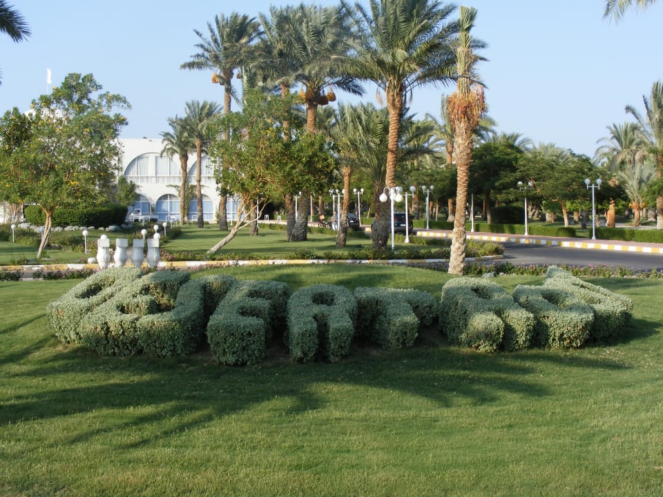 Gartenanlage Desert Rose