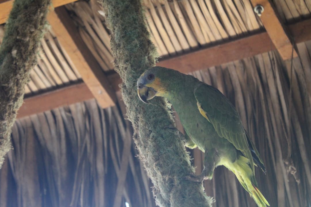 Gastro Pousada do Irmão