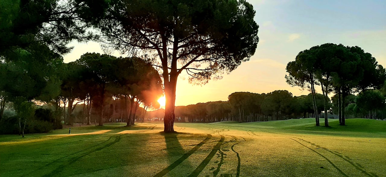 Sport & Freizeit ROBINSON NOBILIS