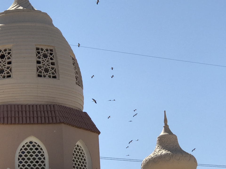 Sonstiges Pickalbatros Alf Leila Wa Leila Resort - Neverland Hurghada