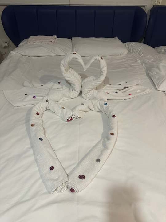 Zimmer Hotel Delphin Diva