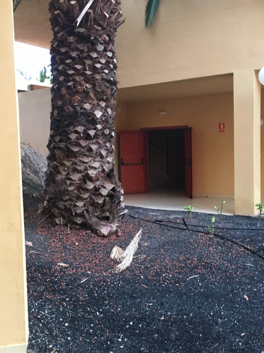 Auch schön SBH Costa Calma Beach Resort