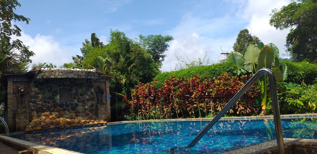 Pool Hotel Khao Sok & Spa