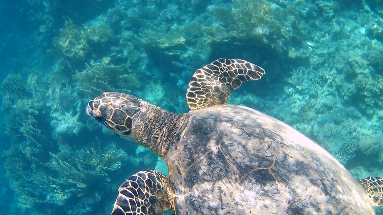 Sport & Freizeit Gemma Resort