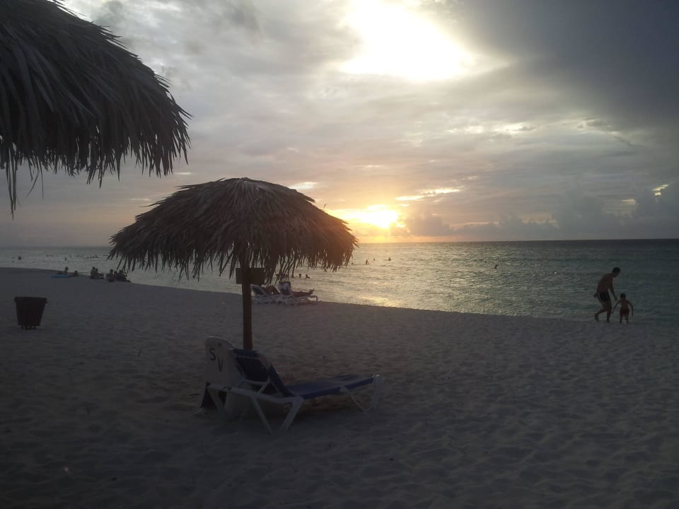 Sonne + Strand Starfish Cuatro Palmas