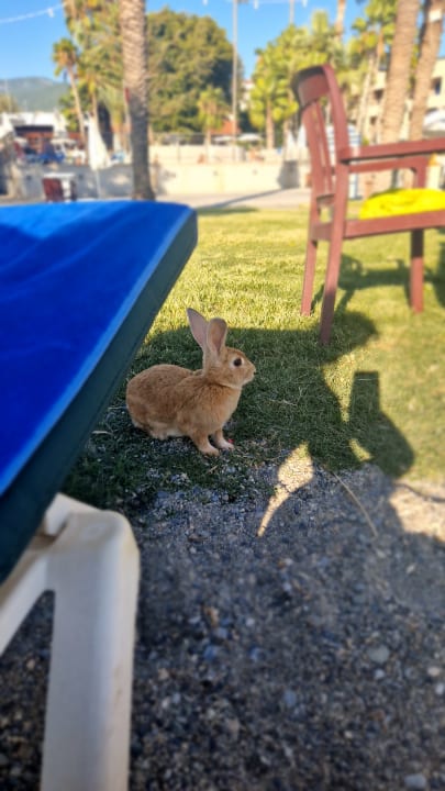 Sonstiges Labranda Alantur Resort